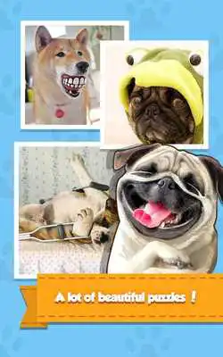 Play Pet Dog Jigsaw Puzzle Game