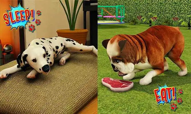 Play Pet Dog: Worlds Best Doggy
