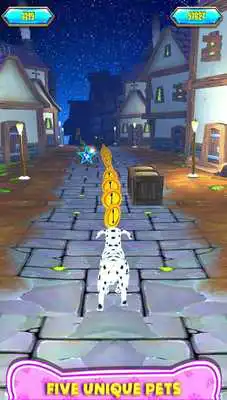Play Pet Dream Run