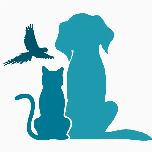 Play Petfind Mobile APK
