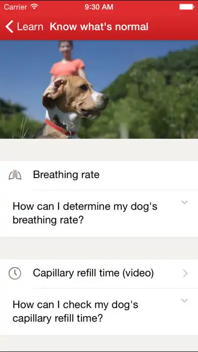 Play Pet First Aid as an online game Pet First Aid with UptoPlay