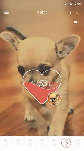 Play APK PetFit for dog  and enjoy PetFit for dog with UptoPlay com.petfit_2