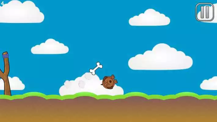 Play Pet Flinger Pro Free Play Pet Flinger Pro Free