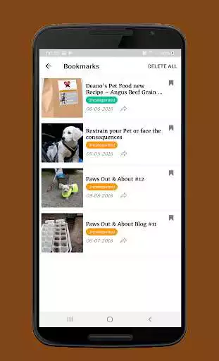 Play Pet Food Tips and Tricks , Cat and Dog Recipes as an online game Pet Food Tips and Tricks , Cat and Dog Recipes with UptoPlay