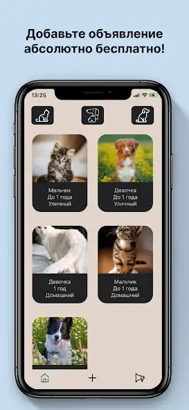 Play PetFriendsBaku  and enjoy PetFriendsBaku with UptoPlay