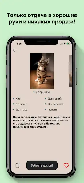 Play PetFriendsBaku as an online game PetFriendsBaku with UptoPlay