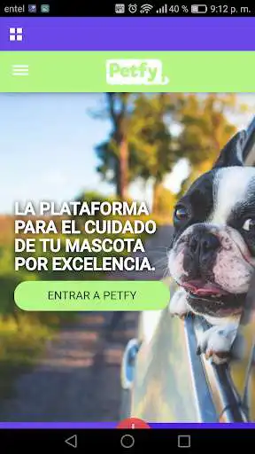 Play Petfy - Identifican as an online game Petfy - Identifican with UptoPlay