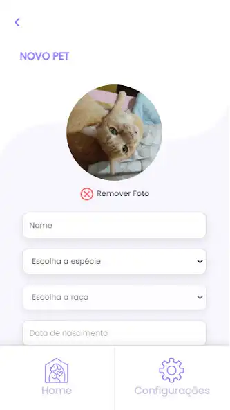 Play Pet Groove as an online game Pet Groove with UptoPlay