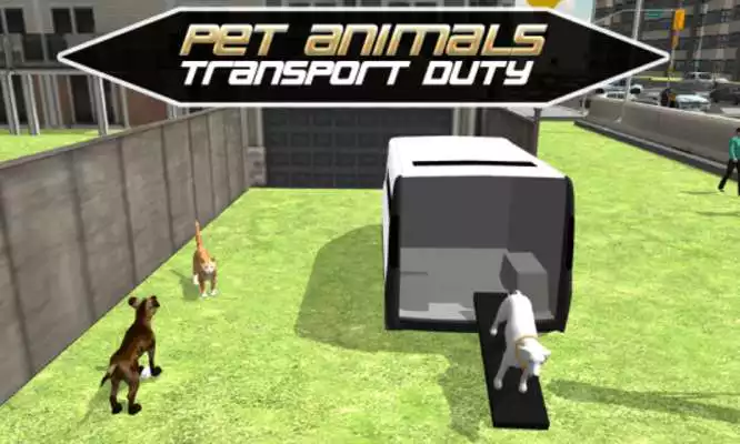Play Pet Home Delivery Van