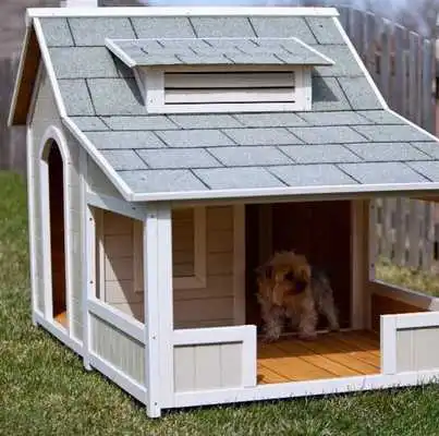 Play Pet House