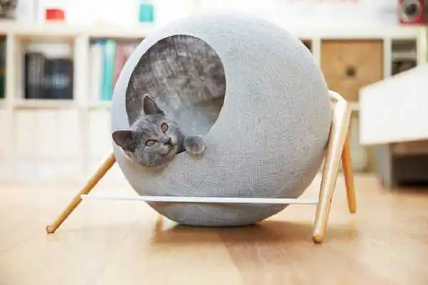 Play Pet House