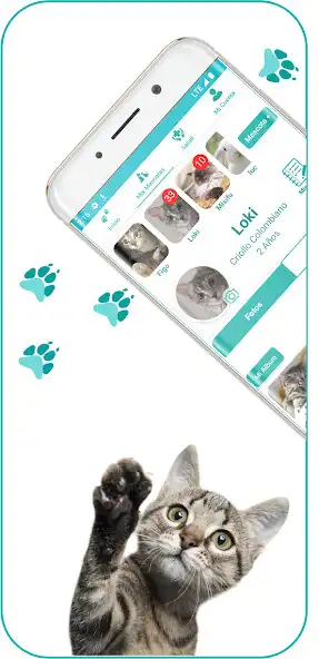 Play PetiBits as an online game PetiBits with UptoPlay