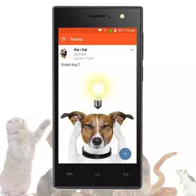 Play Petipal - Social media for Pet Owners Worldwide