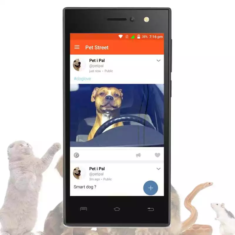 Play Petipal - Social media for Pet Owners Worldwide