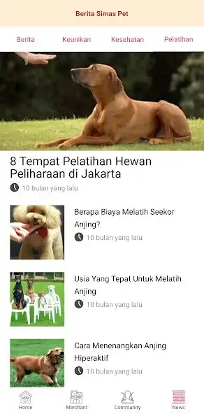 Play PetKoe as an online game PetKoe with UptoPlay