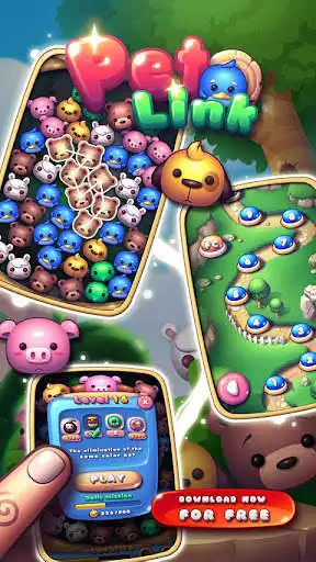 Play Pet Link