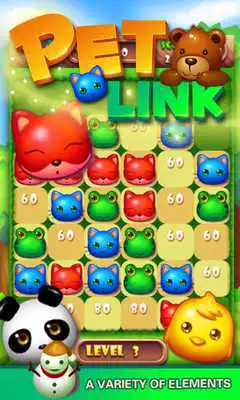 Play Pet Link