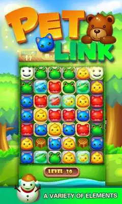 Play Pet Link