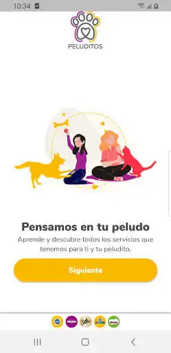 Play Petluditos as an online game Petluditos with UptoPlay