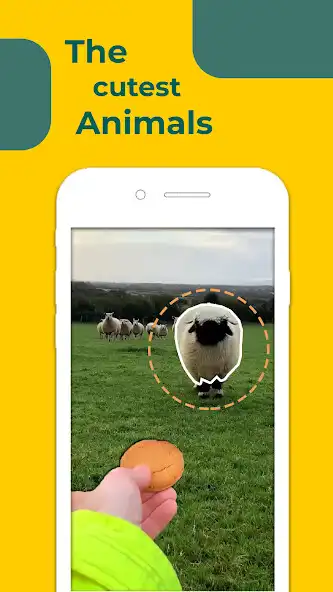 Play Pet Memes - Stickers as an online game Pet Memes - Stickers with UptoPlay