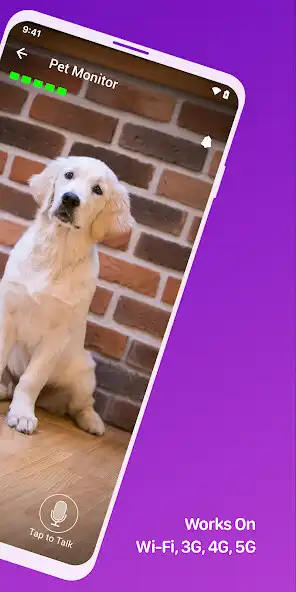 Play Pet Monitor VIGI as an online game Pet Monitor VIGI with UptoPlay