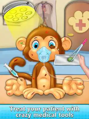 Play Pet Monkey Care