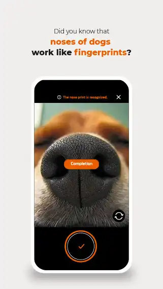 Play Petnow-Identification for Dogs as an online game Petnow-Identification for Dogs with UptoPlay