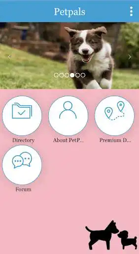 Play Petpals as an online game Petpals with UptoPlay