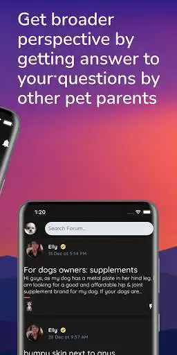 Play PetParents: An app for modern pet parents! as an online game PetParents: An app for modern pet parents! with UptoPlay