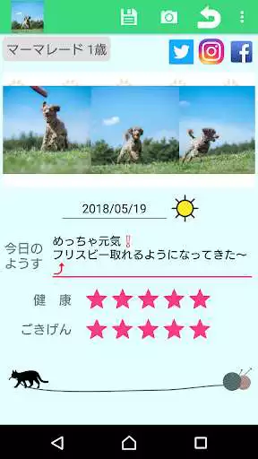 Play Pet Photo Diary - album/organizer/image  and enjoy Pet Photo Diary - album/organizer/image with UptoPlay