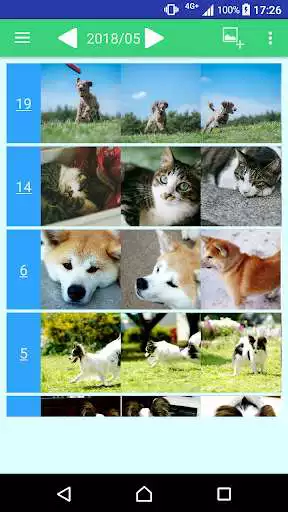 Play Pet Photo Diary - album/organizer/image as an online game Pet Photo Diary - album/organizer/image with UptoPlay
