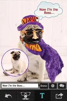 Play Pet Photo Editor - Funny Live Color Effect Maker Play Pet Photo Editor - Funny Live Color Effect Maker