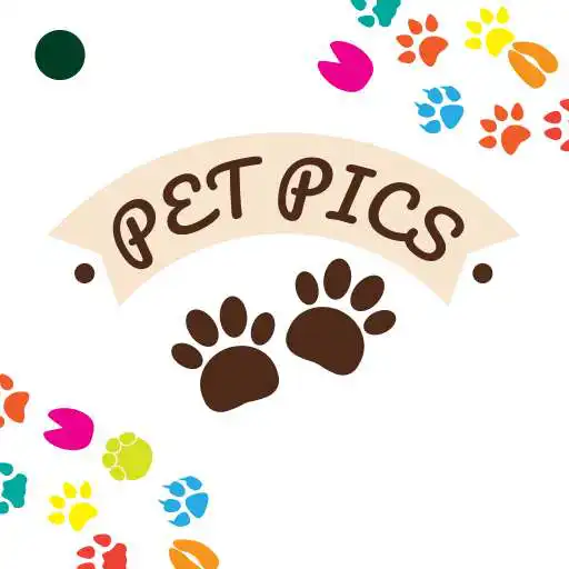 Free play online Pet Pictures - Photo Editor - Pet Face Wallpapers APK