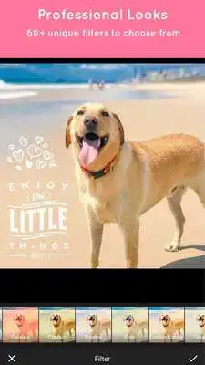 Play Pet Pictures - Photo Editor - Pet Face Wallpapers