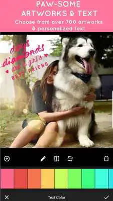 Play Pet Pictures - Photo Editor - Pet Face Wallpapers