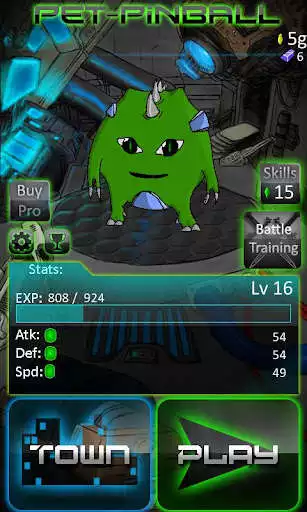 Play Pet PinBall  and enjoy Pet PinBall with UptoPlay