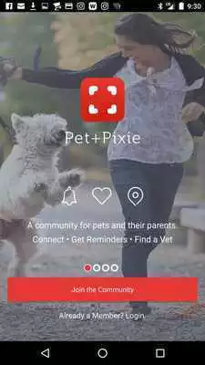 Play Pet+Pixie