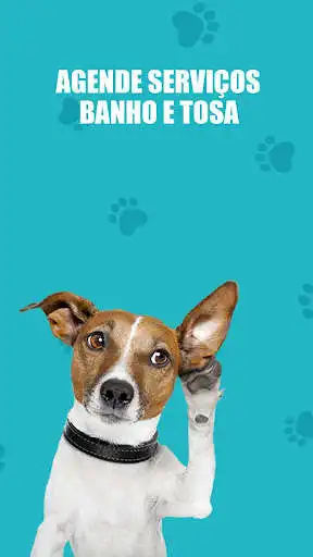 Play Pet Point as an online game online Pet Point with UptoPlay Play Pet Point as an online game Pet Point with UptoPlay