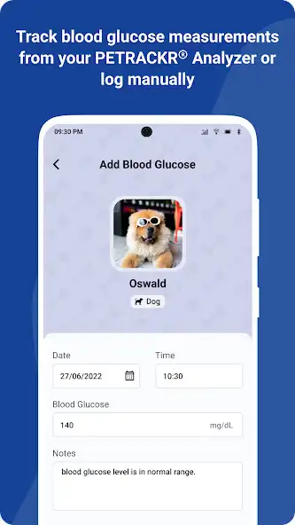 Play PETRACKR® as an online game online PETRACKR® with UptoPlay Play PETRACKR® as an online game PETRACKR® with UptoPlay