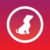 Free play online Pet-Remote APK