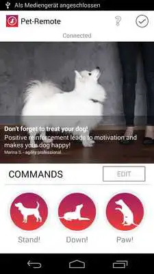 Play Pet-Remote Play Pet-Remote