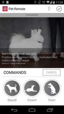 Play Pet-Remote Play Pet-Remote