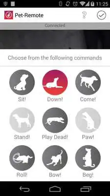 Play Pet-Remote Play Pet-Remote