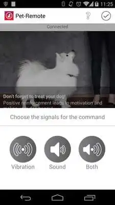 Play Pet-Remote Play Pet-Remote