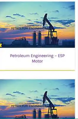 Play Petroleum Plus (Petroleum +)