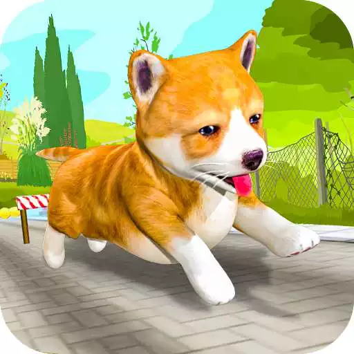 Free play online Pet Run Adventure APK Free play online Pet Run Adventure APK