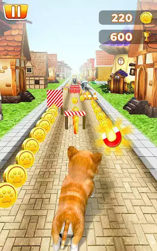 Play Pet Run Adventure