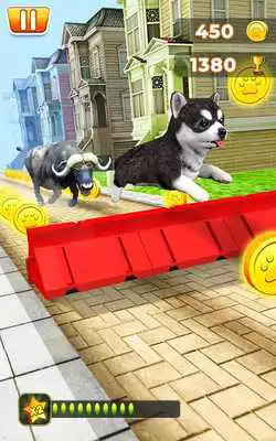 Play Pet Run Adventure