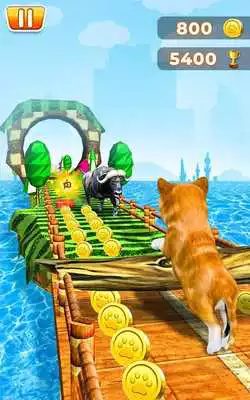 Play Pet Run Adventure