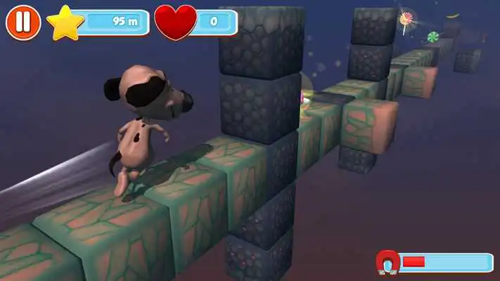 Play Pet Run